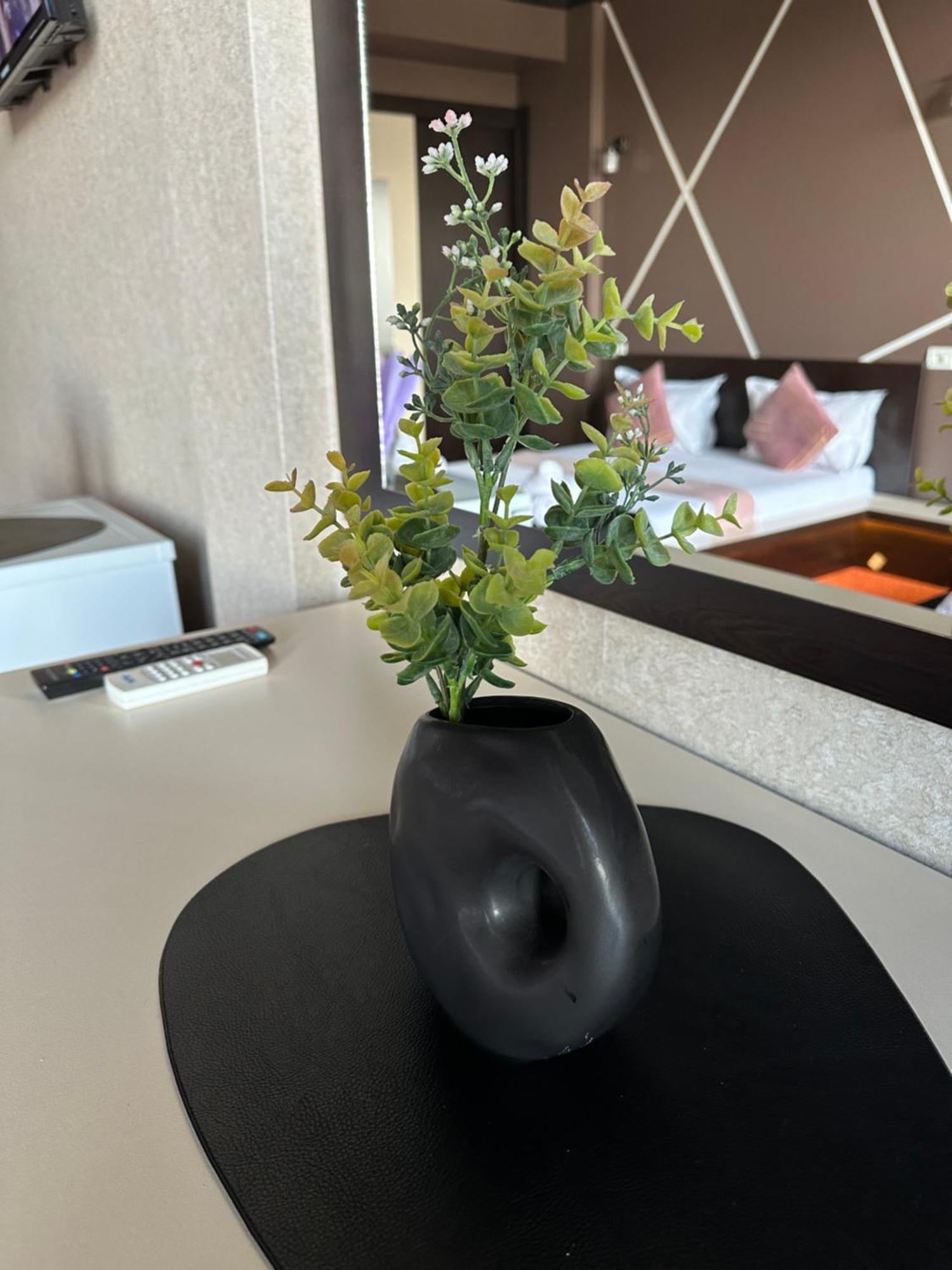 Hotel Sweet Năvodari Kültér fotó